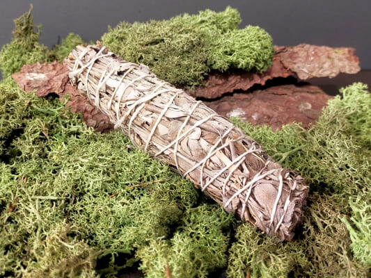 Atado de Salvia Officinalis