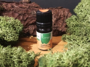 Aceite esencial de Angelica 5ml