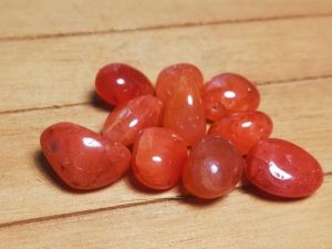 cantos rodados carneola 1'5x2'5cm 2'5€