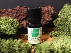 Aceite esencial eucalipto radiata 10ml