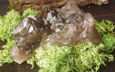 Cuarzo Elestial abriendo el camino al cambio necesario