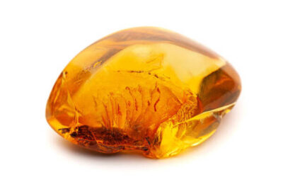 El ámbar ¿ un Cristal o un Fósil ?